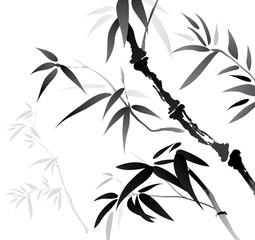 Vector of brush effect bamboo. Black and white bamboo with white background.