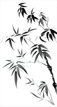 Vector of brush effect bamboo. Black and white bamboo with white background. © AK Wu