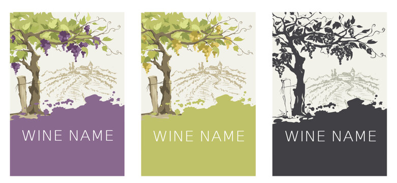 Label for red and white wine. Set of vector illustration, design with vine and landscape in the background.