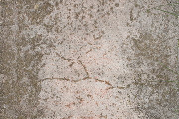 Old weathered surface mold wall dirty pattern texture background structure messy
