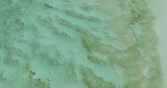 Transparent ocean water with sandy sea floor. Surigao del Sur, Philippines.