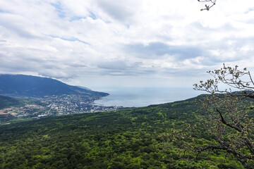 Picturesque view of the city of Yalta and the Black Sea from Ai-Petri mountain in Crimea. Mountain landscape with trees in the clouds. Clouds over Ai-Petri Mountain. Crimean Peninsula
