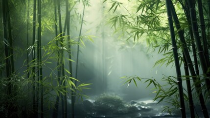 Shady bamboo forest, organic nature green photo illustration.