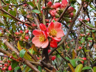 The beauty of nature