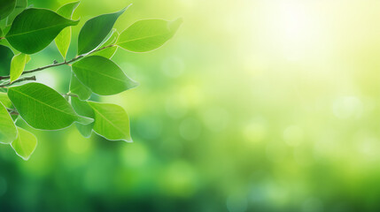 A vibrant green leaf in nature, showcasing organic freshness and sustainable growth.