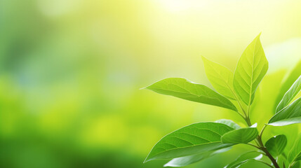 A vibrant green leaf in nature, showcasing organic freshness and sustainable growth.