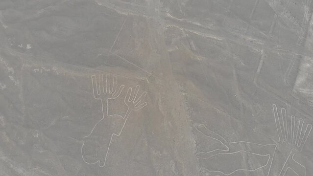 Nazca Lines The Bird