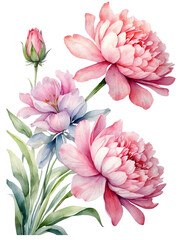 Watercolor pink flower bouquet. Creative graphics design. 