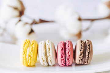 Assortiment de macarons colorés goût vanille chocolat citron et fraise - Dessert sucré français - obrazy, fototapety, plakaty