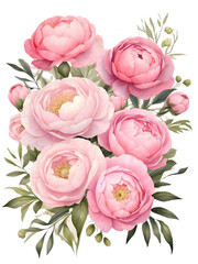 Watercolor pink peony flowers bouquet. Creative graphics design.  