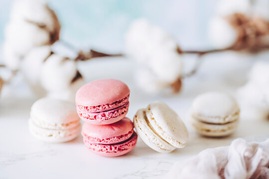 Macarons color&eacute;s aux diff&eacute;rents parfums avec un fond clair