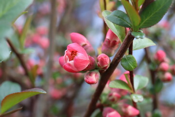 The beauty of nature