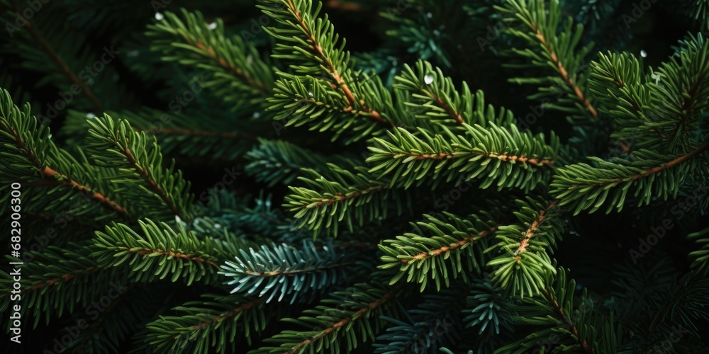 Poster a detailed view of a pine tree with vibrant green needles. perfect for nature enthusiasts and those 