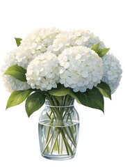 Watercolor illustration of white hydrangeas flowers arrange in luxury vase.  Beautiful bunch of flowers. Creative graphics design.   