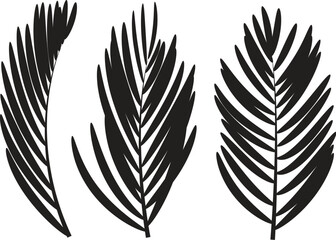 vector set of palm leaves