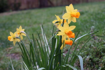 The beauty of nature