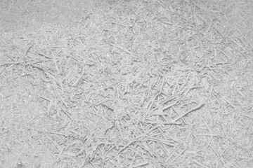 White Natural Wood Shavings Waste Recycling Industrial Material Sawdust