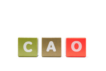 text CAO Chief Accounting Officer on colorful wooden isolated on a white.