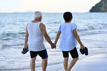 Rear view of an elderly couple walking and holding hands on the beach while holding a pair of...