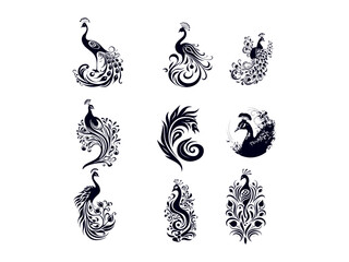 Premium peacock logo design set vector, vector and illustration,