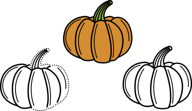 learn to color and connect pumpkin fruit lines for children