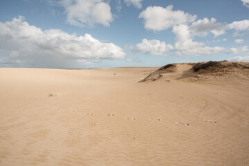 Fototapeta na wymiar Amazing view with sand dunes of Fuerteventura volcanic island in Spain