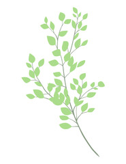 Leaves and branches, Imitation of watercolor, isolated on white. Sketched wreath, floral and herbs garland. Handdrawn Vector Watercolour style, nature illustration.