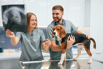 Holding the x-ray. Dog in veterinary clinic with two doctors