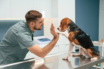 Giving high five with paw. Dog in veterinarian clinic with male doctor - Powered by Adobe