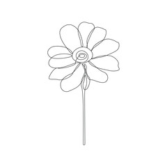One single line drawing of beauty sunflower isolated on white background