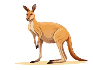  A kangaroo stands alert with a transparent backdrop.