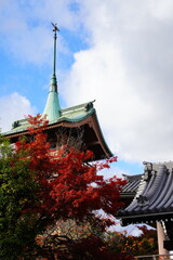 Naklejka premium 京都 八坂神社周辺の秋の紅葉