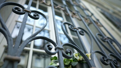 Fototapeta na wymiar Elegant window gate protection against intruders demarcating protection and property