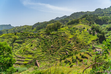 Green terrace fields on volcanic mountains surrounding with green grass on Santo Antao Island, Cape Verde