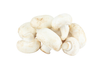 champignon mushroom, pile of champignon mushroom isolated from background