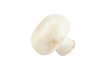 champignon mushroom isolated from background