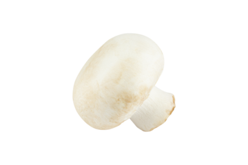 champignon mushroom isolated from background