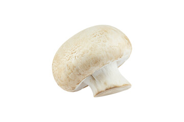 champignon mushroom isolated from background