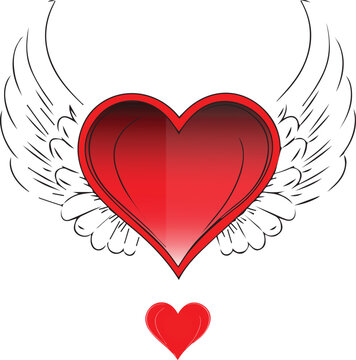 heart with wings and ribbon,heart, love, ribbon, bow, gift, valentine, holiday, decoration, vector, illustration, day, symbol, 