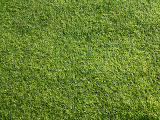 Top veiw, Abstract blurred artificult turf  green seamless texture for design, grass feild background, stadium floor