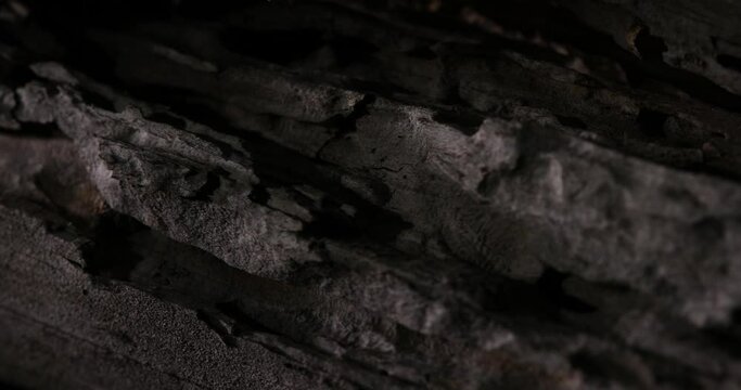 Texture of weathered old wood with scratches and cuts. Damaged aged rough timber in dark indoors. Structure of scabrous pattern of wooden aged surface with stains. log with bark beetle marks.