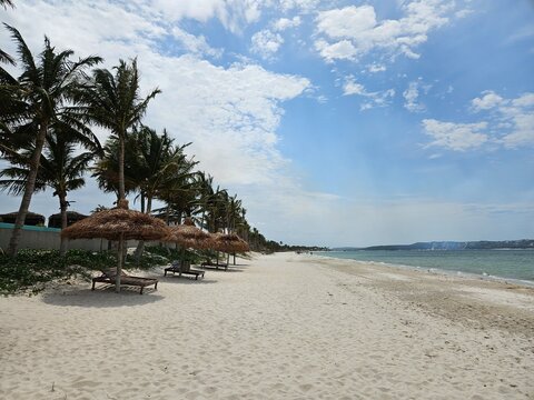 Bilene Mozambique beach with palm trees