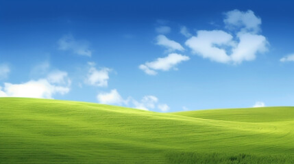 Fototapeta premium green grass field and blue sky with cloud, nature background