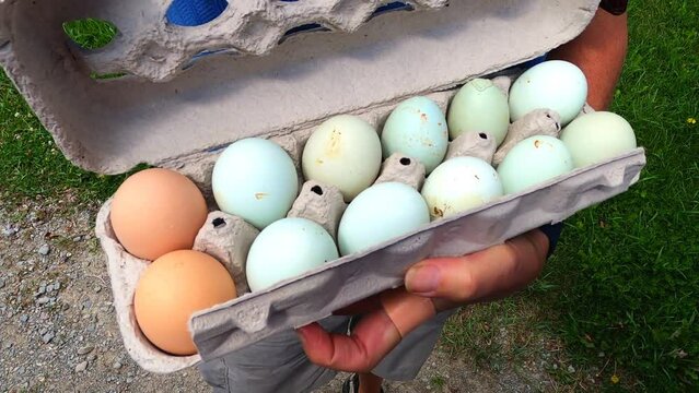 A woman displays chicken eggs of different colors.