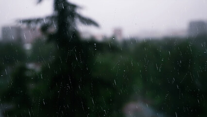 Rain behind the glass. Concept of loneliness.