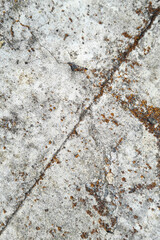 Close-up of a cracked concrete surface. The crack is thin and runs straight across the image. The concrete around the crack is slightly discolored and appears to be weathered