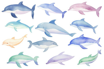 Animals cartoon draw watercolor sea illustration ocean water underwater nature blue