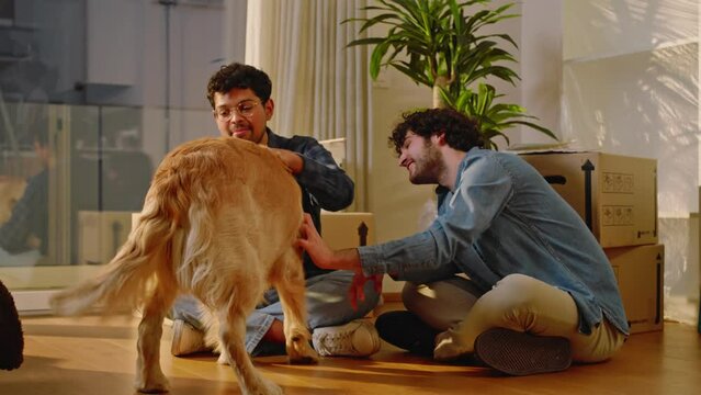 A young multi-ethnic couple of gay guys enters the new house carrying boxes, the dog arrives, a golden retriever, and they cuddle it