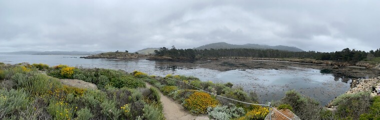 Point Lobos Nature Reserve - Monterey, CA