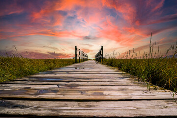 wooden bridge in the salt marshes on the north sea in the sunset - obrazy, fototapety, plakaty